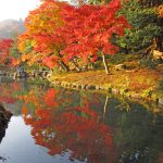 天龍寺 秋の早朝参拝 天龍寺の紅葉 天龍寺紅葉 天龍寺 紅葉 嵐山 紅葉 景點 嵐山賞楓景點 嵐山賞楓 景點 嵐山夜楓 景點 嵐山夜楓景點 嵐山楓葉景點 嵐山楓葉 景點 嵐山紅葉 紅葉 嵐山 紅葉 嵐山賞楓 嵐山夜楓 嵐山楓葉 京都紅葉2019 京都楓葉2019 京都紅葉景點2019 京都紅葉 景點2019 京都賞楓2019 京都賞楓 景點2019 京都賞楓景點2019 京都夜楓2019 京都夜楓景點2019 京都紅葉 京都楓葉 京都紅葉景點 京都紅葉 景點 京都賞楓 京都賞楓 景點 京都賞楓景點 京都夜楓 京都夜楓景點