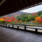 天龍寺 秋の早朝参拝 天龍寺の紅葉 天龍寺紅葉 天龍寺 紅葉 嵐山 紅葉 景點 嵐山賞楓景點 嵐山賞楓 景點 嵐山夜楓 景點 嵐山夜楓景點 嵐山楓葉景點 嵐山楓葉 景點 嵐山紅葉 紅葉 嵐山 紅葉 嵐山賞楓 嵐山夜楓 嵐山楓葉 京都紅葉2019 京都楓葉2019 京都紅葉景點2019 京都紅葉 景點2019 京都賞楓2019 京都賞楓 景點2019 京都賞楓景點2019 京都夜楓2019 京都夜楓景點2019 京都紅葉 京都楓葉 京都紅葉景點 京都紅葉 景點 京都賞楓 京都賞楓 景點 京都賞楓景點 京都夜楓 京都夜楓景點