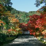 二尊院紅葉 二尊院 紅葉 小倉山二尊院紅葉 小倉山二尊院 紅葉 嵐山紅葉 景點 嵐山紅葉景點 紅葉 嵐山 紅葉 景點 嵐山賞楓景點 嵐山賞楓 景點 嵐山夜楓 景點 嵐山夜楓景點 嵐山楓葉景點 嵐山楓葉 景點 嵐山紅葉 紅葉 嵐山 紅葉 嵐山賞楓 嵐山夜楓 嵐山楓葉 京都紅葉2019 京都楓葉2019 京都紅葉景點2019 京都紅葉 景點2019 京都賞楓2019 京都賞楓 景點2019 京都賞楓景點2019 京都夜楓2019 京都夜楓景點2019 京都紅葉 京都楓葉 京都紅葉景點 京都紅葉 景點 京都賞楓 京都賞楓 景點 京都賞楓景點 京都夜楓 京都夜楓景點