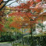 二尊院紅葉 二尊院 紅葉 小倉山二尊院紅葉 小倉山二尊院 紅葉 嵐山紅葉 景點 嵐山紅葉景點 紅葉 嵐山 紅葉 景點 嵐山賞楓景點 嵐山賞楓 景點 嵐山夜楓 景點 嵐山夜楓景點 嵐山楓葉景點 嵐山楓葉 景點 嵐山紅葉 紅葉 嵐山 紅葉 嵐山賞楓 嵐山夜楓 嵐山楓葉 京都紅葉2019 京都楓葉2019 京都紅葉景點2019 京都紅葉 景點2019 京都賞楓2019 京都賞楓 景點2019 京都賞楓景點2019 京都夜楓2019 京都夜楓景點2019 京都紅葉 京都楓葉 京都紅葉景點 京都紅葉 景點 京都賞楓 京都賞楓 景點 京都賞楓景點 京都夜楓 京都夜楓景點