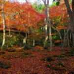 真紅之水鏡 真紅の水鏡 祇王寺紅葉 祇王寺 紅葉 嵐山紅葉 景點 嵐山紅葉景點 紅葉 嵐山 紅葉 景點 嵐山賞楓景點 嵐山賞楓 景點 嵐山夜楓 景點 嵐山夜楓景點 嵐山楓葉景點 嵐山楓葉 景點 嵐山紅葉 紅葉 嵐山 紅葉 嵐山賞楓 嵐山夜楓 嵐山楓葉 京都紅葉2019 京都楓葉2019 京都紅葉景點2019 京都紅葉 景點2019 京都賞楓2019 京都賞楓 景點2019 京都賞楓景點2019 京都夜楓2019 京都夜楓景點2019 京都紅葉 京都楓葉 京都紅葉景點 京都紅葉 景點 京都賞楓 京都賞楓 景點 京都賞楓景點 京都夜楓 京都夜楓景點