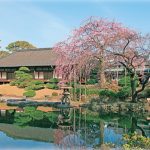 伝法院（淺草寺）｜東京自由行 東京行程 東京景點 淺草景點 淺草美食 淺草行程