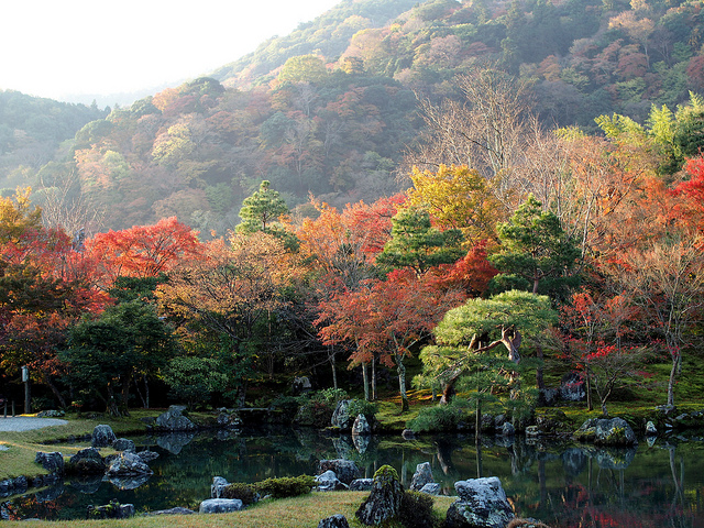 紅葉 秋天