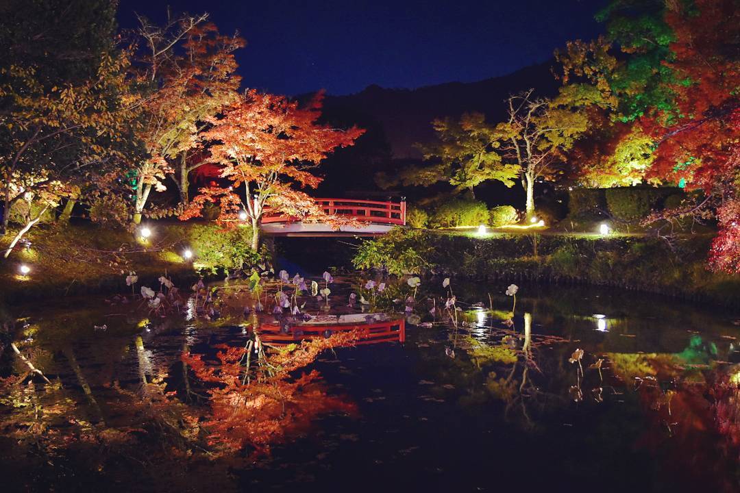 真紅の水鏡 賞紅葉 大覺寺