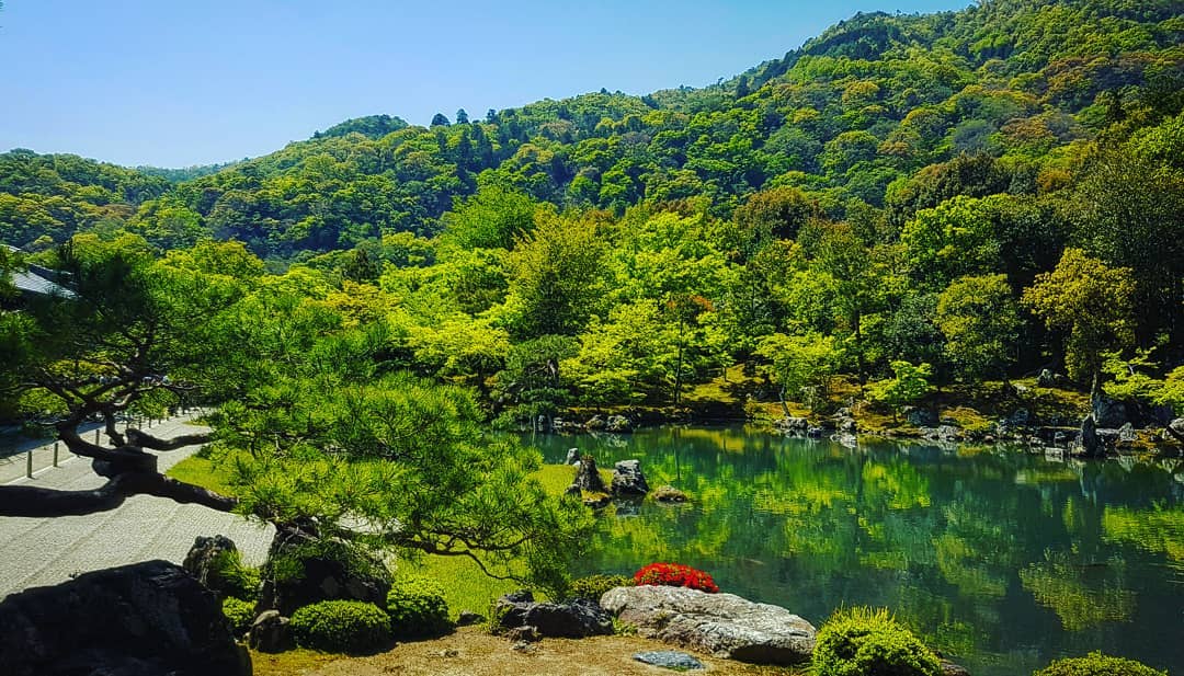 天龍寺 世界遺產 曹源池庭園