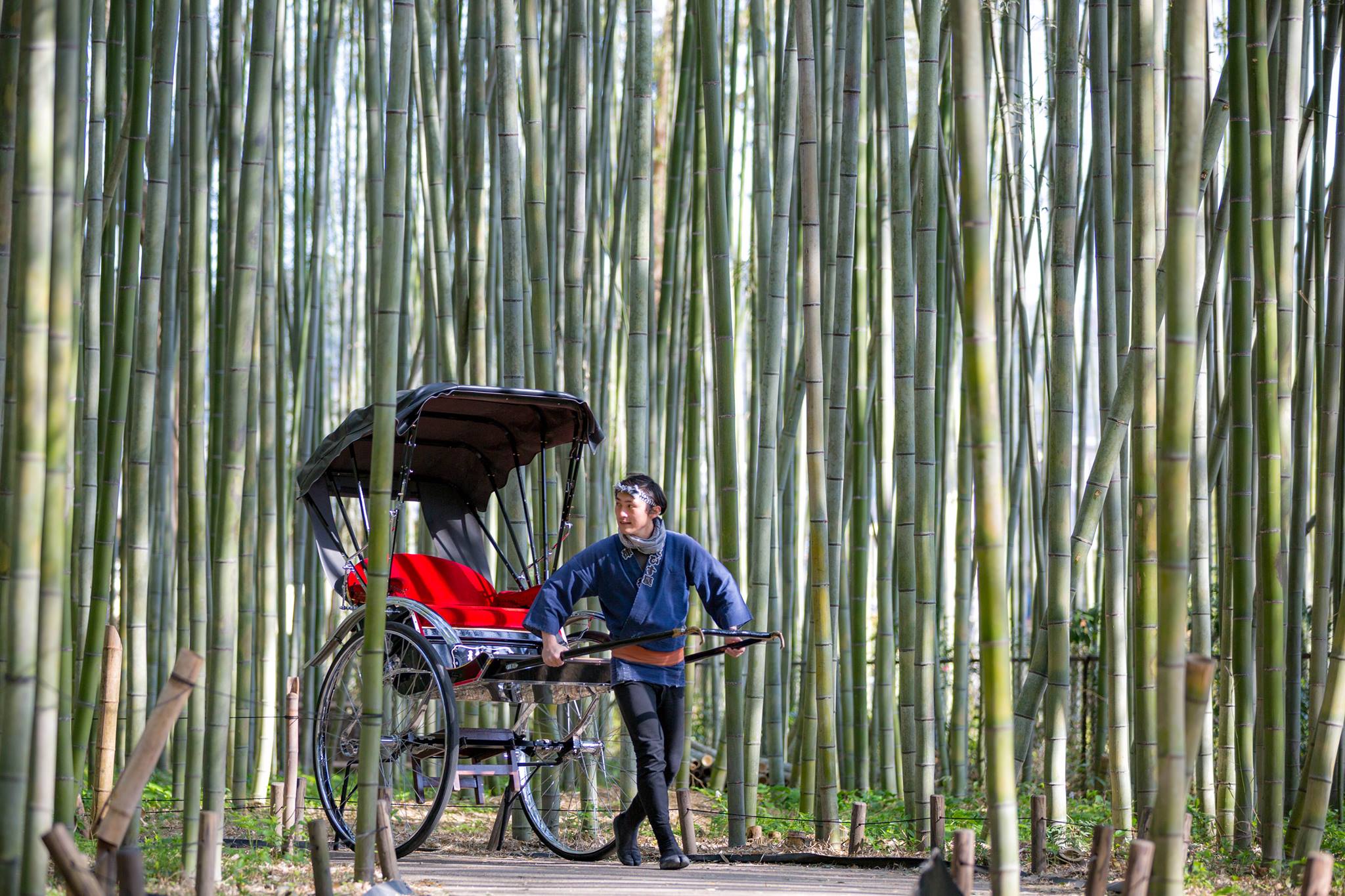 人力車 竹林小徑 嵐山必到 打卡地點