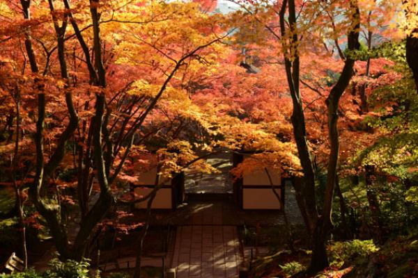 常寂光寺仁王門