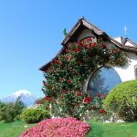 東京近郊一日遊！富士山X河口湖必去必食之選！