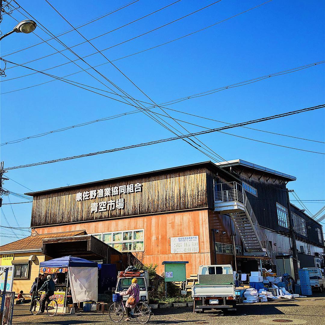 泉佐野青空市場｜大阪 Osaka おおさかし 大阪自由行 大阪美食 大阪必食 大阪行程 大阪市場 大阪魚市場 大阪海鮮市場 泉佐野青空市場 泉佐野市場燒烤 關西青空市場 泉佐野燒烤 泉佐野海鮮燒烤 泉佐野美食 泉佐野燒海鮮 泉佐野站 關西機場去青空市場 泉佐野食 大阪海鮮市場