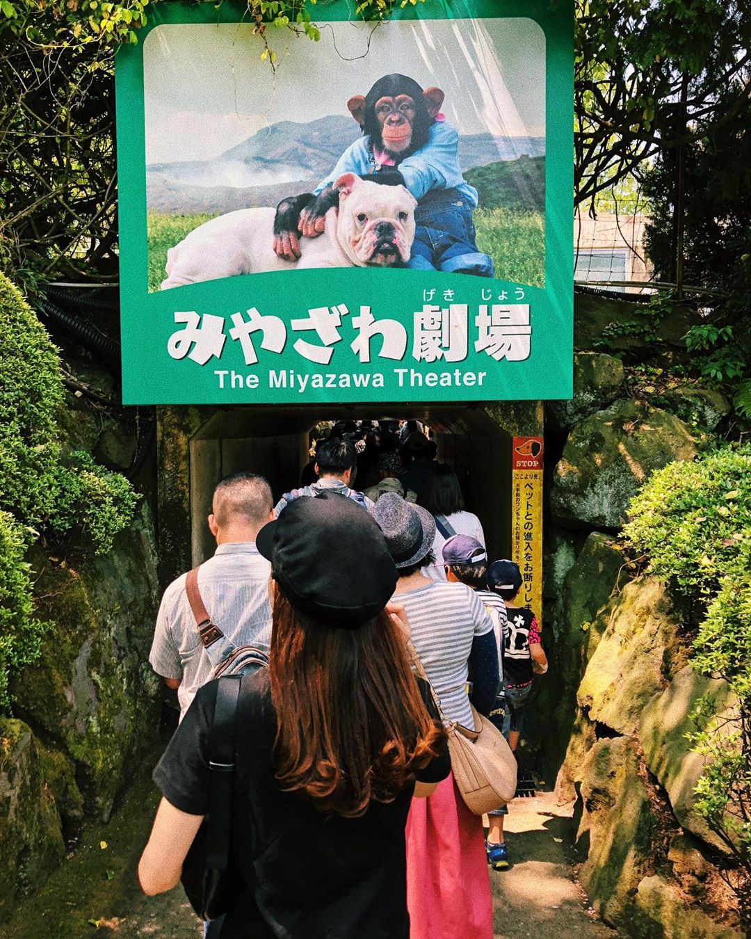 阿蘇駅 阿蘇站 阿蘇景點 阿蘇必去 阿蘇山 阿蘇山遊覽飛行 阿蘇動物王國 阿蘇卡德利動物樂園 阿笨與阿占 宮澤劇場 阿蘇カドリー・ドミニオン Cuddly Dominion