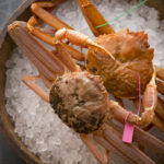 松葉蟹、背子蟹｜大阪蟹 大阪食蟹 大阪美食 大阪必食 活け蟹と海栗　カニジェンヌ（canni sienne）