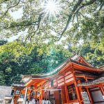 關西 Kansai かんさいちほう 大阪 Osakaおおさかふ 京都 Kyotoきょうとし 宇治 Ujiうじし 奈良 Naraならけん 名古屋 Nagoyaなごや 和歌山 Wakayamaわかやまし 神戶 Kobeこうべし 關西必到 關西必去 關西自由行 關西行程 關西行程包 大阪必到 大阪必去 大阪自由行 大阪行程 大阪行程包 京都必到 京都必去 京都自由行 京都行程 京都行程包 宇治必到 宇治必去 宇治自由行 宇治行程 宇治行程包 奈良必到 奈良必去 奈良自由行 奈良行程 奈良行程包 名古屋必到 名古屋必去 名古屋自由行 名古屋行程 名古屋行程包 和歌山必到 和歌山必去 和歌山自由行 和歌山行程 和歌山行程包 神戶必到 神戶必去 神戶自由行 神戶行程 神戶行程包 關西機場 懶人包 和歌山懶人包 和歌山溫泉 和歌山二日遊 和歌山白濱 和歌山冬天自由行 和歌山地圖 和歌山市行程表 和歌山城 和歌山5月 和歌山自由行2018 和歌山城 黑潮市場 貓電車 貴志站 熊野那智大社 飛瀧神社 那智瀑布