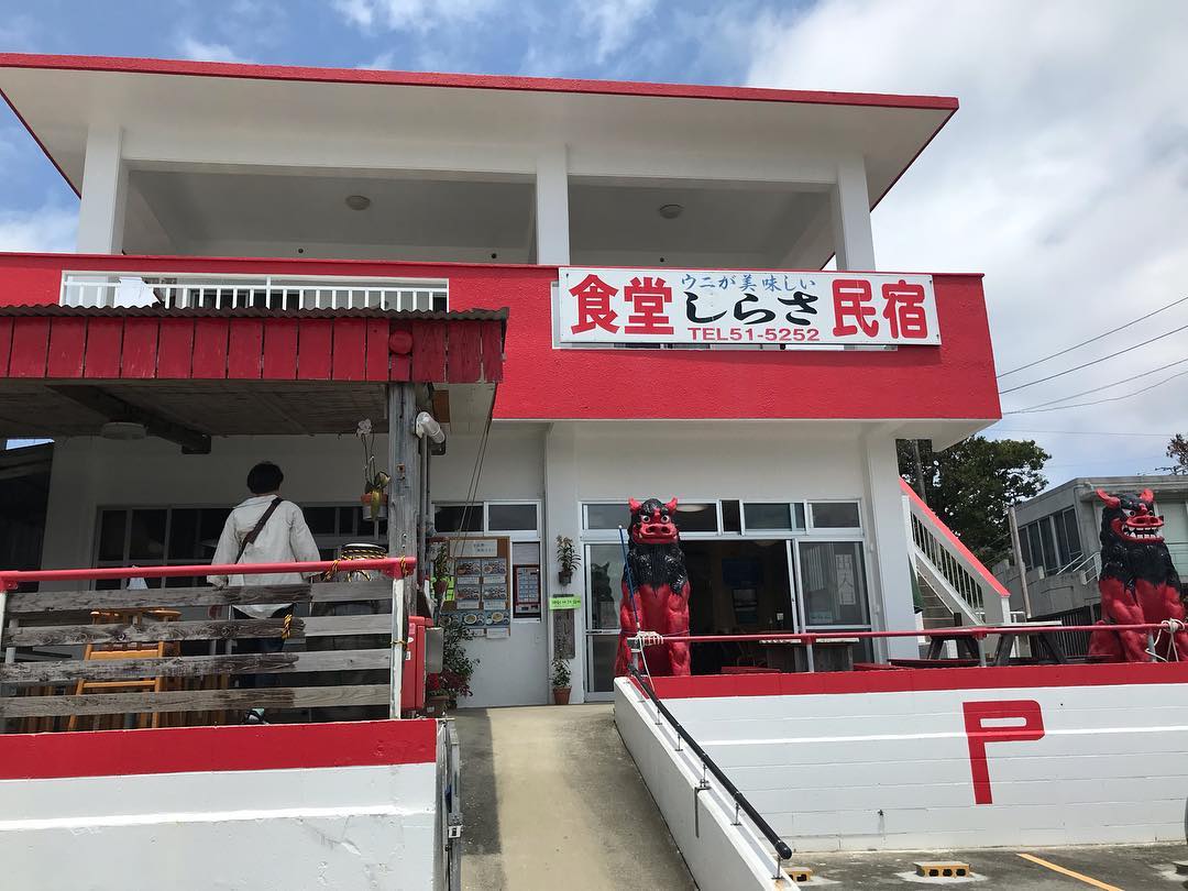 しらさ食堂 海膽丼 Shirasa食堂 古宇利大橋 沖繩 古宇利島 海膽丼 沖繩古宇利島 海膽 神之島 戀之島 古宇利島一日遊 古宇利島行程 古宇利島 古宇利島美食 古宇利島 美食 古宇利島必食 古宇利島景點 古宇利島 景點 古宇利島必去 古宇利島海景 沖繩一日遊 沖繩行程 沖繩景點 沖繩好去處 沖繩自駕遊 沖繩必去