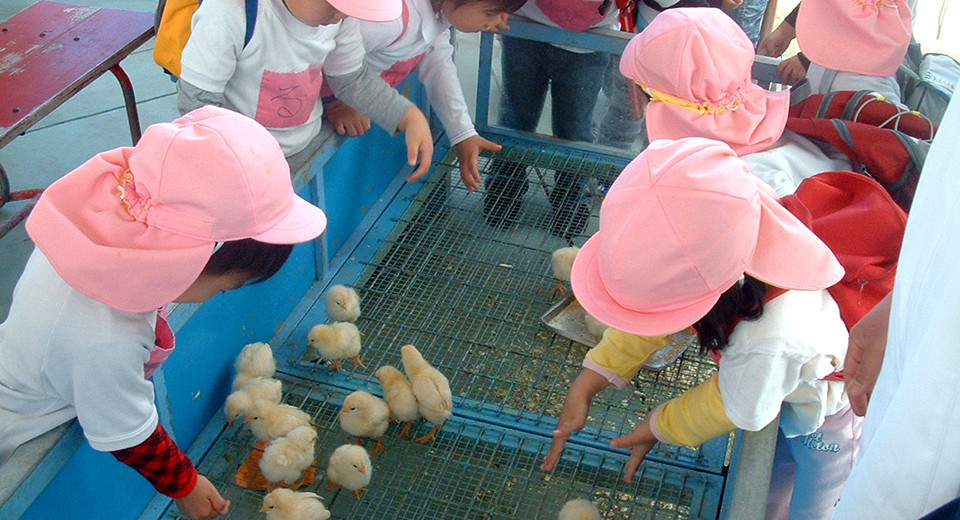 沖繩親子遊 沖繩 親子 沖繩親子 沖繩親子景點 沖繩科學館 Okinawa Children's World Zoo and Museum 沖繩兒童王國 沖縄こどもの国 OKINAWA ZOO & MUSEUM 沖繩 下雨 沖繩 室內 沖繩 Okinawa 沖繩必食 沖繩必吃 沖繩必到 沖繩必去 沖繩必買 沖繩必掃 沖繩自由行 沖繩行程 沖繩行程包 沖繩懶人包 沖繩好去處 沖繩景點 沖繩必到景點 沖繩必去景點 沖繩美食 沖繩交通 沖繩攻略 沖繩自由行行程 沖繩自由行行程推薦 沖繩必食2019 沖繩必吃2019 沖繩必到2019 沖繩必去2019 沖繩必買2019 沖繩必掃2019 沖繩自由行2019 沖繩行程2019 沖繩行程包2019 沖繩懶人包2019 沖繩好去處2019 沖繩景點2019 沖繩必到景點2019 沖繩必去景點2019 沖繩美食2019 沖繩交通2019 沖繩攻略2019 沖繩自由行行程2019 沖繩自由行行程推薦2019 日本 Japan 日本必食 日本必吃 日本必到 日本必去 日本必買 日本必掃 日本自由行 日本行程 日本行程包 日本懶人包 日本好去處 日本景點 日本必到景點 日本必去景點 日本美食 日本交通 日本攻略 日本自由行行程 日本自由行行程推薦 日本必食2019 日本必吃2019 日本必到2019 日本必去2019 日本必買2019 日本必掃2019 日本自由行2019 日本行程2019 日本行程包2019 日本懶人包2019 日本好去處2019 日本景點2019 日本必到景點2019 日本必去景點2019 日本美食2019 日本交通2019 日本攻略2019 日本自由行行程2019 日本自由行行程推薦2019