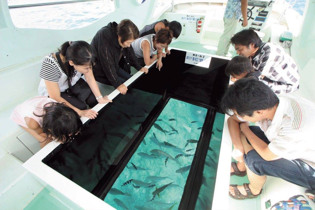 沖繩親子遊 沖繩 親子 沖繩親子 沖繩親子景點 沖繩海中展望塔 沖繩玻璃船 名護景點 沖繩 海中展望塔 沖繩 玻璃船 沖繩 部瀨名海中公園 ブセナ海中公園 Underwater Observatory and Glass-bottom Boat 沖繩 下雨 沖繩 室內 沖繩 Okinawa 沖繩必食 沖繩必吃 沖繩必到 沖繩必去 沖繩必買 沖繩必掃 沖繩自由行 沖繩行程 沖繩行程包 沖繩懶人包 沖繩好去處 沖繩景點 沖繩必到景點 沖繩必去景點 沖繩美食 沖繩交通 沖繩攻略 沖繩自由行行程 沖繩自由行行程推薦 沖繩必食2019 沖繩必吃2019 沖繩必到2019 沖繩必去2019 沖繩必買2019 沖繩必掃2019 沖繩自由行2019 沖繩行程2019 沖繩行程包2019 沖繩懶人包2019 沖繩好去處2019 沖繩景點2019 沖繩必到景點2019 沖繩必去景點2019 沖繩美食2019 沖繩交通2019 沖繩攻略2019 沖繩自由行行程2019 沖繩自由行行程推薦2019 日本 Japan 日本必食 日本必吃 日本必到 日本必去 日本必買 日本必掃 日本自由行 日本行程 日本行程包 日本懶人包 日本好去處 日本景點 日本必到景點 日本必去景點 日本美食 日本交通 日本攻略 日本自由行行程 日本自由行行程推薦 日本必食2019 日本必吃2019 日本必到2019 日本必去2019 日本必買2019 日本必掃2019 日本自由行2019 日本行程2019 日本行程包2019 日本懶人包2019 日本好去處2019 日本景點2019 日本必到景點2019 日本必去景點2019 日本美食2019 日本交通2019 日本攻略2019 日本自由行行程2019 日本自由行行程推薦2019