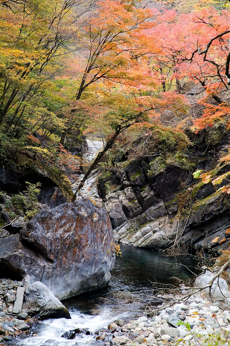 三峰口站 三峰口 相原橋站 相原橋 奧秩父大瀑布紅葉祭 奧秩父第一美景 中津峽 長瀞 長瀞景點 秩父 威士忌 秩父交通 秩父景點 秩父必去景點 秩父美食 秩父必食 秩父必吃 秩父酒店 秩父飯店 秩父住宿 秩父溫泉 秩父旅館 秩父溫泉旅館 秩父溫泉酒店 秩父必去 秩父 景點 秩父好去處 秩父櫻花 秩父芝櫻 秩父紅葉 秩父冰柱 秩父威士忌 秩父 東京近郊 秩父 東京近郊一日遊 東京近郊景點 東京近郊 景點 東京近郊 行程 東京近郊行程 東京近郊 2日1夜 東京 Tokyo 東京必食 東京必吃 東京必到 東京必去 東京必買 東京必掃 東京自由行 東京行程 東京行程包 東京懶人包 東京好去處 東京景點 東京必到景點 東京必去景點 東京美食 東京交通 東京攻略 東京自由行行程 東京自由行行程推薦 東京酒店 東京飯店 東京酒店推薦 東京飯店推薦 東京必住酒店 東京必住飯店 東京必食2019 東京必吃2019 東京必到2019 東京必去2019 東京必買2019 東京必掃2019 東京自由行2019 東京行程2019 東京行程包2019 東京懶人包2019 東京好去處2019 東京景點2019 東京必到景點2019 東京必去景點2019 東京美食2019 東京交通2019 東京攻略2019 東京自由行行程2019 東京自由行行程推薦2019 東京酒店2019 東京飯店2019 東京酒店推薦2019 東京飯店推薦2019 東京必住酒店2019 東京必住飯店2019