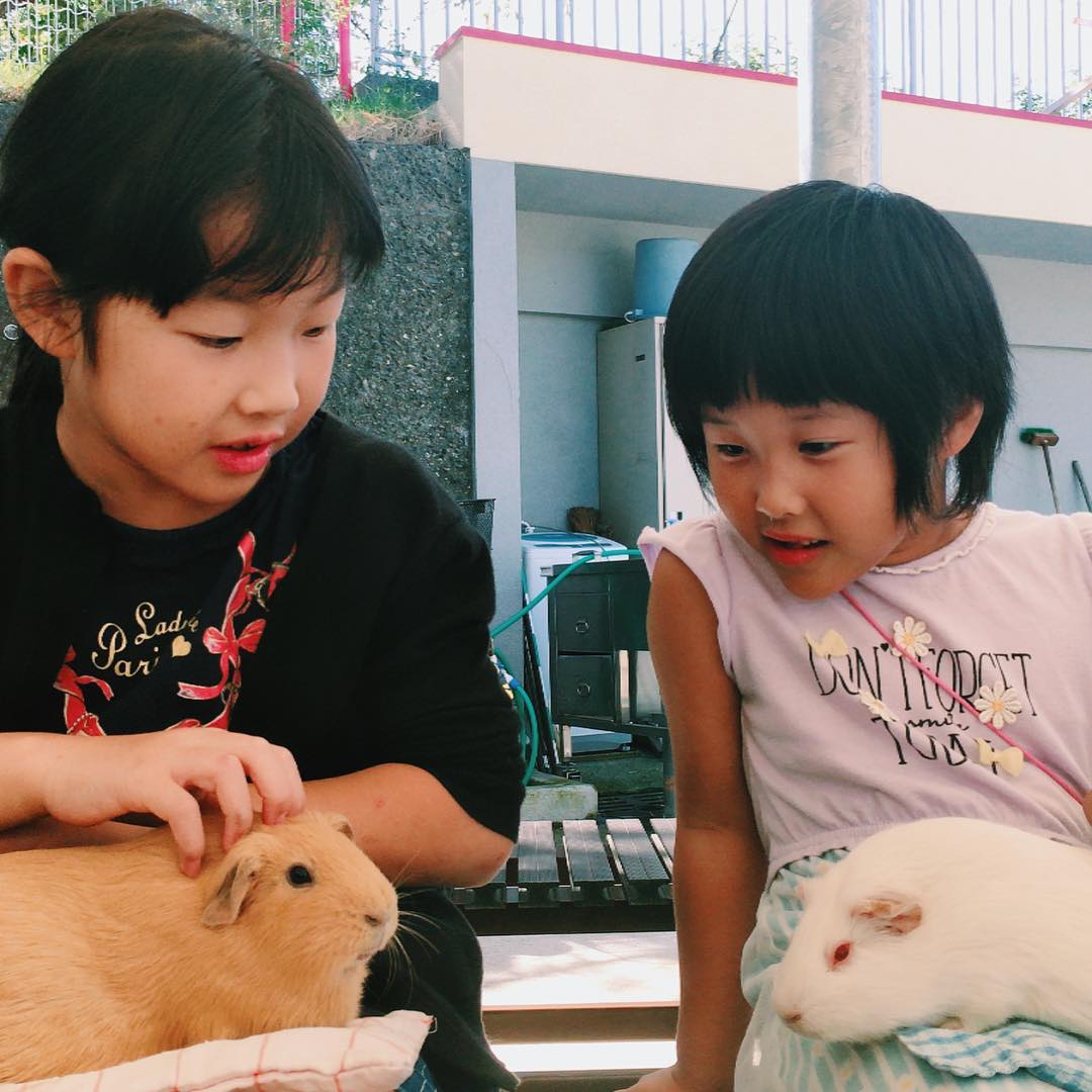 大阪親子景點 大阪親子 大阪親子遊 豚鼠 天王寺動物園 觸摸豚鼠體驗 天王寺動物園 鹬鸵 天王寺動物園 樹熊 天王寺動物園 北極熊 天王寺公園 大阪免稅店 阿倍野美食 阿倍野必食 阿倍野必吃 大阪 天王寺 天王寺站 大阪一天遊 日本天王寺 大阪天王寺 日本 天王寺 天王寺車站 jr 天王寺 jr 天王寺站 jr天王寺 大阪阿倍野 天王寺美食 天王寺 阿倍野 天王寺阿倍野 阿倍野區 阿倍野 天王寺景點 天王寺 景點 天王寺 天王寺購物 天王寺 購物 天王寺 shopping 大阪 Osaka 大阪必食 大阪必食 大阪必吃 大阪必到 大阪必去 大阪必買 大阪必掃 大阪自由行 大阪行程 大阪行程包 大阪懶人包 大阪好去處 大阪景點 大阪必到景點 大阪必去景點 大阪美食 大阪交通 大阪攻略 大阪自由行行程 大阪自由行行程推薦 大阪必食2019 大阪必吃2019 大阪必到2019 大阪必去2019 大阪必買2019 大阪必掃2019 大阪自由行2019 大阪行程2019 大阪行程包2019 大阪懶人包2019 大阪好去處2019 大阪景點2019 大阪必到景點2019 大阪必去景點2019 大阪美食2019 大阪交通2019 大阪攻略2019 大阪自由行行程2019 大阪自由行行程推薦2019