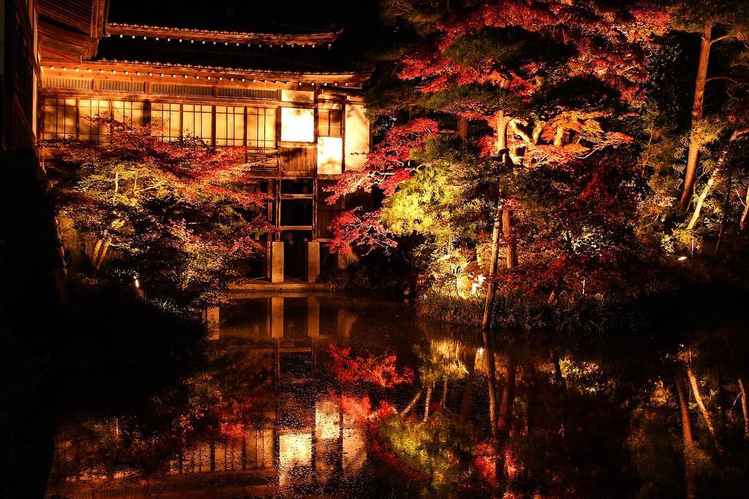 一字御守 寶登山 夜楓 紅葉 寶登山神社 紅葉 長瀞 長瀞景點 秩父 威士忌 秩父交通 秩父景點 秩父必去景點 秩父美食 秩父必食 秩父必吃 秩父酒店 秩父飯店 秩父住宿 秩父溫泉 秩父旅館 秩父溫泉旅館 秩父溫泉酒店 秩父必去 秩父 景點 秩父好去處 秩父櫻花 秩父芝櫻 秩父紅葉 秩父冰柱 秩父威士忌 秩父 東京近郊 秩父 東京近郊一日遊 東京近郊景點 東京近郊 景點 東京近郊 行程 東京近郊行程 東京近郊 2日1夜 東京 Tokyo 東京必食 東京必吃 東京必到 東京必去 東京必買 東京必掃 東京自由行 東京行程 東京行程包 東京懶人包 東京好去處 東京景點 東京必到景點 東京必去景點 東京美食 東京交通 東京攻略 東京自由行行程 東京自由行行程推薦 東京酒店 東京飯店 東京酒店推薦 東京飯店推薦 東京必住酒店 東京必住飯店 東京必食2019 東京必吃2019 東京必到2019 東京必去2019 東京必買2019 東京必掃2019 東京自由行2019 東京行程2019 東京行程包2019 東京懶人包2019 東京好去處2019 東京景點2019 東京必到景點2019 東京必去景點2019 東京美食2019 東京交通2019 東京攻略2019 東京自由行行程2019 東京自由行行程推薦2019 東京酒店2019 東京飯店2019 東京酒店推薦2019 東京飯店推薦2019 東京必住酒店2019 東京必住飯店2019