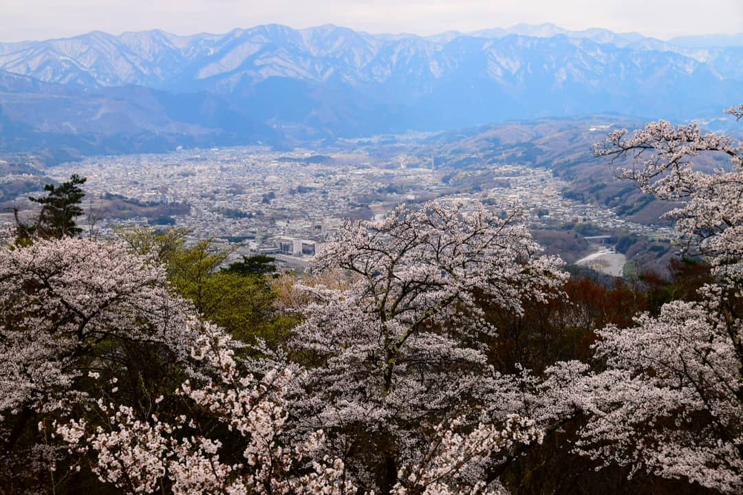 秩父 賞花 秩父賞花 美之山公園賞花 美之山公園 賞花 美之山公園 杜鵑花 美之山公園 百合花 美之山公園杜鵑花 美之山公園百合花 國民休養地 美之山 美之山公園雲海 美之山公園 雲海 美之山公園 八重櫻 櫻花 美之山公園櫻花 美之山公園繡球花 美之山公園紫陽花 美之山公園 紫陽花 美之山公園 繡球花 長瀞 長瀞景點 秩父 威士忌 秩父交通 秩父景點 秩父必去景點 秩父美食 秩父必食 秩父必吃 秩父酒店 秩父飯店 秩父住宿 秩父溫泉 秩父旅館 秩父溫泉旅館 秩父溫泉酒店 秩父必去 秩父 景點 秩父好去處 秩父櫻花 秩父芝櫻 秩父紅葉 秩父冰柱 秩父威士忌 秩父 東京近郊 秩父 東京近郊一日遊 東京近郊景點 東京近郊 景點 東京近郊 行程 東京近郊行程 東京近郊 2日1夜 東京 Tokyo 東京必食 東京必吃 東京必到 東京必去 東京必買 東京必掃 東京自由行 東京行程 東京行程包 東京懶人包 東京好去處 東京景點 東京必到景點 東京必去景點 東京美食 東京交通 東京攻略 東京自由行行程 東京自由行行程推薦 東京酒店 東京飯店 東京酒店推薦 東京飯店推薦 東京必住酒店 東京必住飯店 東京必食2019 東京必吃2019 東京必到2019 東京必去2019 東京必買2019 東京必掃2019 東京自由行2019 東京行程2019 東京行程包2019 東京懶人包2019 東京好去處2019 東京景點2019 東京必到景點2019 東京必去景點2019 東京美食2019 東京交通2019 東京攻略2019 東京自由行行程2019 東京自由行行程推薦2019 東京酒店2019 東京飯店2019 東京酒店推薦2019 東京飯店推薦2019 東京必住酒店2019 東京必住飯店2019