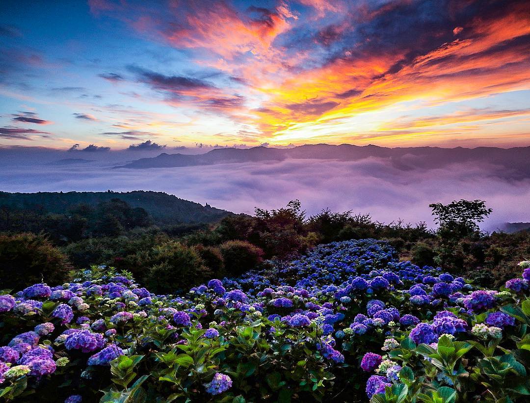 秩父 賞花 秩父賞花 美之山公園賞花 美之山公園 賞花 美之山公園 杜鵑花 美之山公園 百合花 美之山公園杜鵑花 美之山公園百合花 國民休養地 美之山 美之山公園雲海 美之山公園 雲海 美之山公園 八重櫻 櫻花 美之山公園櫻花 美之山公園繡球花 美之山公園紫陽花 美之山公園 紫陽花 美之山公園 繡球花 長瀞 長瀞景點 秩父 威士忌 秩父交通 秩父景點 秩父必去景點 秩父美食 秩父必食 秩父必吃 秩父酒店 秩父飯店 秩父住宿 秩父溫泉 秩父旅館 秩父溫泉旅館 秩父溫泉酒店 秩父必去 秩父 景點 秩父好去處 秩父櫻花 秩父芝櫻 秩父紅葉 秩父冰柱 秩父威士忌 秩父 東京近郊 秩父 東京近郊一日遊 東京近郊景點 東京近郊 景點 東京近郊 行程 東京近郊行程 東京近郊 2日1夜 東京 Tokyo 東京必食 東京必吃 東京必到 東京必去 東京必買 東京必掃 東京自由行 東京行程 東京行程包 東京懶人包 東京好去處 東京景點 東京必到景點 東京必去景點 東京美食 東京交通 東京攻略 東京自由行行程 東京自由行行程推薦 東京酒店 東京飯店 東京酒店推薦 東京飯店推薦 東京必住酒店 東京必住飯店 東京必食2019 東京必吃2019 東京必到2019 東京必去2019 東京必買2019 東京必掃2019 東京自由行2019 東京行程2019 東京行程包2019 東京懶人包2019 東京好去處2019 東京景點2019 東京必到景點2019 東京必去景點2019 東京美食2019 東京交通2019 東京攻略2019 東京自由行行程2019 東京自由行行程推薦2019 東京酒店2019 東京飯店2019 東京酒店推薦2019 東京飯店推薦2019 東京必住酒店2019 東京必住飯店2019