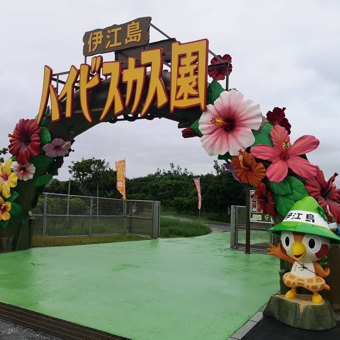 伊江島扶桑花園 伊江島 扶桑花園 伊江島 扶桑花 伊江村 扶桑花 沖繩 扶桑花 沖繩 沖繩伊江島 沖繩 伊江島 伊江島 伊江村 沖繩伊江村 沖繩 伊江村 沖繩離島 沖繩跳島 沖繩跳島遊 沖繩不自駕 伊江島景點 伊江島 景點 伊江島必去 伊江島交通 伊江島美食 伊江島必吃 伊江島必食 伊江島 自行車 伊江島 單車 伊江島 車腳踏車 伊江島 百合祭 伊江島一日遊 伊江牛 伊江島Tatchu ACE BURGER Biziru石 Nyathiya洞 伊江海灘 伊江島城山 伊江島 城山 伊江島 浮潛 伊江島 潛水 伊江島 釣魚 伊江島 騎馬 ニャティヤ洞 千人洞 力石 伊江ビーチ 湧出展望台 沖繩賞鯨 百合公園 百合祭り 沖繩 Okinawa 沖繩必食 沖繩必吃 沖繩必到 沖繩必去 沖繩必買 沖繩必掃 沖繩自由行 沖繩行程 沖繩行程包 沖繩懶人包 沖繩好去處 沖繩景點 沖繩必到景點 沖繩必去景點 沖繩美食 沖繩交通 沖繩攻略 沖繩自由行行程 沖繩自由行行程推薦 沖繩必食2019 沖繩必吃2019 沖繩必到2019 沖繩必去2019 沖繩必買2019 沖繩必掃2019 沖繩自由行2019 沖繩行程2019 沖繩行程包2019 沖繩懶人包2019 沖繩好去處2019 沖繩景點2019 沖繩必到景點2019 沖繩必去景點2019 沖繩美食2019 沖繩交通2019 沖繩攻略2019 沖繩自由行行程2019 沖繩自由行行程推薦2019