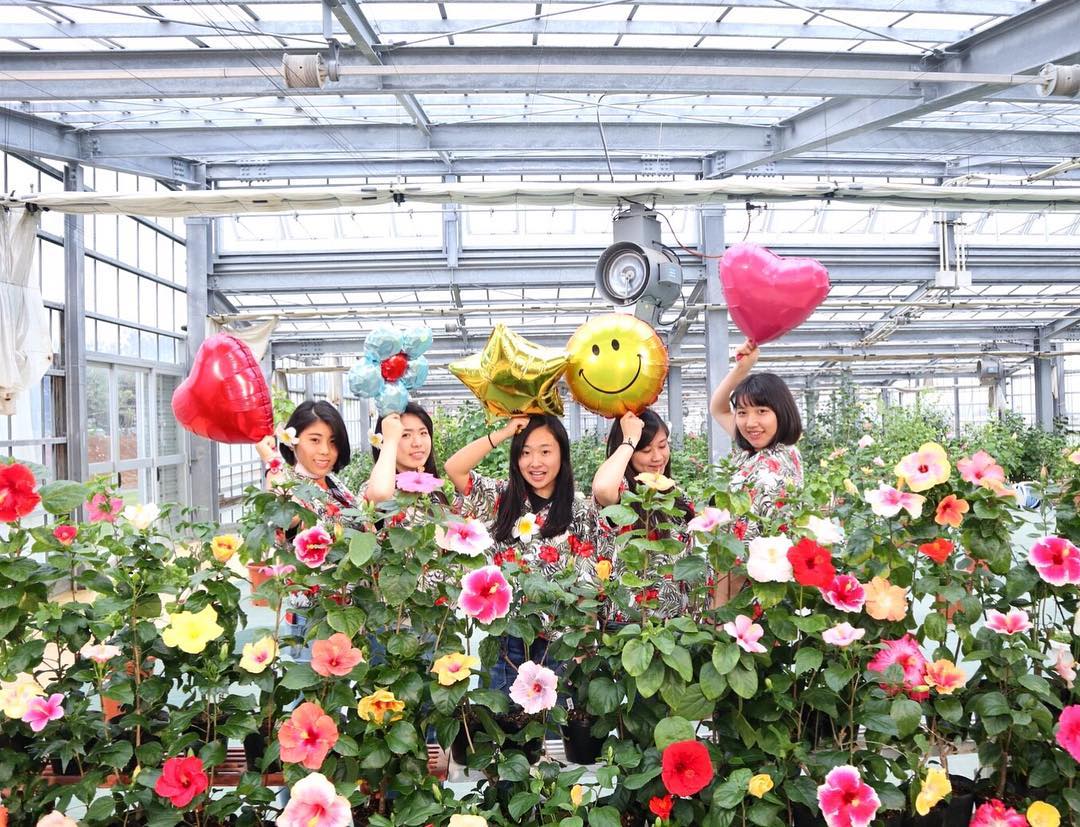 伊江島扶桑花園 伊江島 扶桑花園 伊江島 扶桑花 伊江村 扶桑花 沖繩 扶桑花 沖繩 沖繩伊江島 沖繩 伊江島 伊江島 伊江村 沖繩伊江村 沖繩 伊江村 沖繩離島 沖繩跳島 沖繩跳島遊 沖繩不自駕 伊江島景點 伊江島 景點 伊江島必去 伊江島交通 伊江島美食 伊江島必吃 伊江島必食 伊江島 自行車 伊江島 單車 伊江島 車腳踏車 伊江島 百合祭 伊江島一日遊 伊江牛 伊江島Tatchu ACE BURGER Biziru石 Nyathiya洞 伊江海灘 伊江島城山 伊江島 城山 伊江島 浮潛 伊江島 潛水 伊江島 釣魚 伊江島 騎馬 ニャティヤ洞 千人洞 力石 伊江ビーチ 湧出展望台 沖繩賞鯨 百合公園 百合祭り 沖繩 Okinawa 沖繩必食 沖繩必吃 沖繩必到 沖繩必去 沖繩必買 沖繩必掃 沖繩自由行 沖繩行程 沖繩行程包 沖繩懶人包 沖繩好去處 沖繩景點 沖繩必到景點 沖繩必去景點 沖繩美食 沖繩交通 沖繩攻略 沖繩自由行行程 沖繩自由行行程推薦 沖繩必食2019 沖繩必吃2019 沖繩必到2019 沖繩必去2019 沖繩必買2019 沖繩必掃2019 沖繩自由行2019 沖繩行程2019 沖繩行程包2019 沖繩懶人包2019 沖繩好去處2019 沖繩景點2019 沖繩必到景點2019 沖繩必去景點2019 沖繩美食2019 沖繩交通2019 沖繩攻略2019 沖繩自由行行程2019 沖繩自由行行程推薦2019