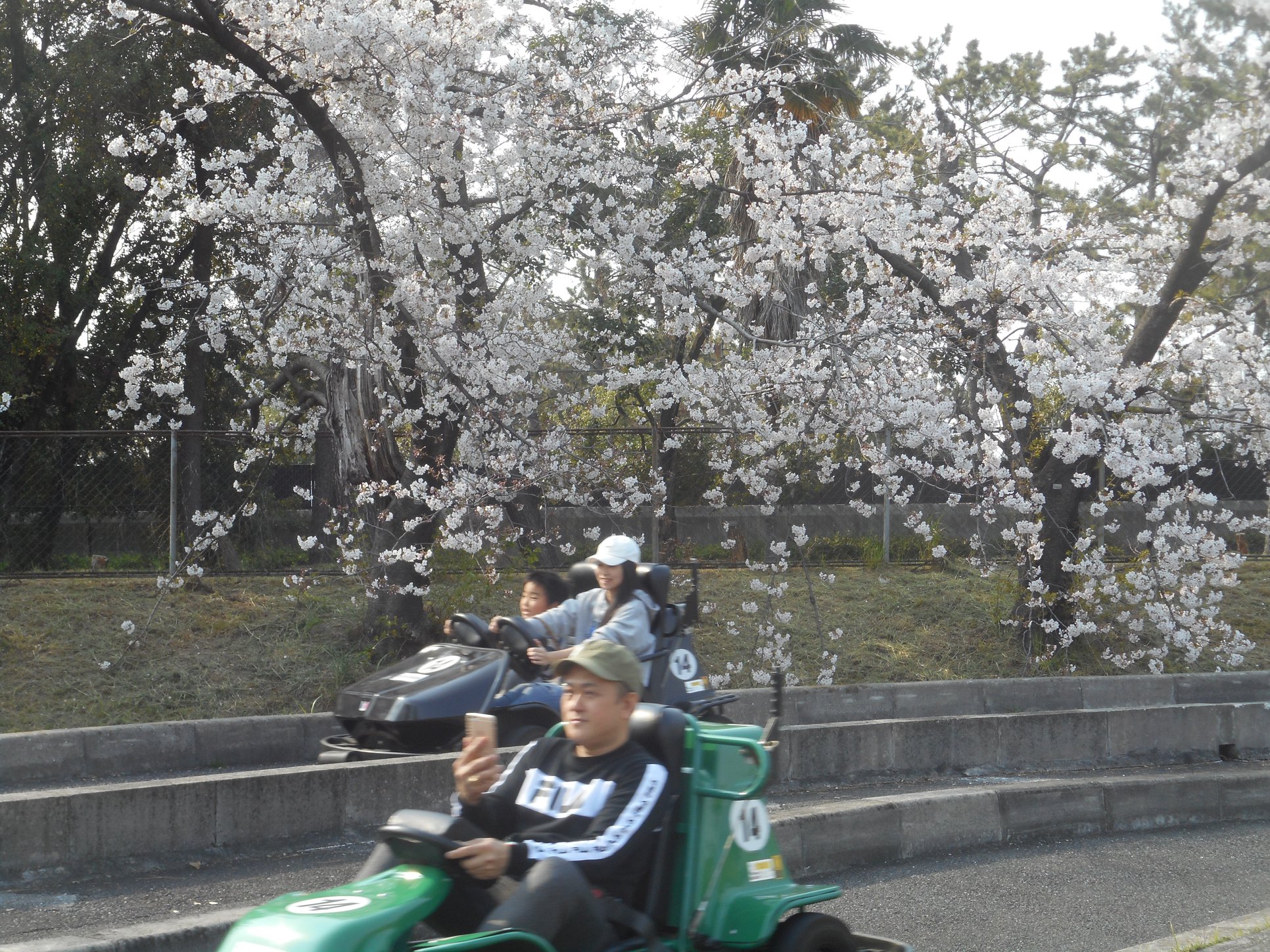 浜寺公園 浜寺交通遊園 濱寺公園 南海電鐵 小火車 卡丁車 高卡車 電動車 寺浜公園車站 濱寺交通遊園 運貨用蒸汽車D51號 寺浜公園駅駅舎 阪界電軌130號（MO121型） 堺市 堺市 大阪 大阪 堺市 大阪堺市 堺市購物 阪堺電車 堺市自由行 堺市景點 堺市 景點 堺市美食 大阪 Osaka 大阪必食 大阪必食 大阪必吃 大阪必到 大阪必去 大阪必買 大阪必掃 大阪自由行 大阪行程 大阪行程包 大阪懶人包 大阪好去處 大阪景點 大阪必到景點 大阪必去景點 大阪美食 大阪攻略 大阪自由行行程 大阪自由行行程推薦 大阪必食2019 大阪必吃2019 大阪必到2019 大阪必去2019 大阪必買2019 大阪必掃2019 大阪自由行2019 大阪行程2019 大阪行程包2019 大阪懶人包2019 大阪好去處2019 大阪景點2019 大阪必到景點2019 大阪必去景點2019 大阪美食2019 大阪攻略2019 大阪自由行行程2019 大阪自由行行程推薦2019