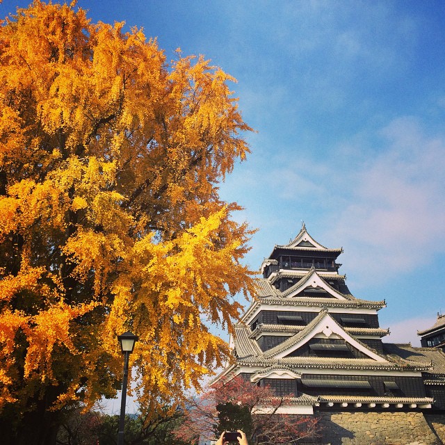 九州熊本 熊本好去處 熊本親子景點 熊本自由行 熊本一日遊 銀杏城 日本三大名城 熊本城 參觀路線 熊本城 開放了沒 熊本城 Kumamoto Castle 熊本地震 天守閣 復興城主 熊本 Japan 熊本必食 熊本必吃 熊本必到 熊本必去 熊本必買 熊本必掃 熊本自由行 熊本行程 熊本行程包 熊本懶人包 熊本好去處 熊本景點 熊本必到景點 熊本必去景點 熊本美食 熊本交通 熊本攻略 熊本自由行行程 熊本自由行行程推薦 熊本必食2019 熊本必吃2019 熊本必到2019 熊本必去2019 熊本必買2019 熊本必掃2019 熊本自由行2019 熊本行程2019 熊本行程包2019 熊本懶人包2019 熊本好去處2019 熊本景點2019 熊本必到景點2019 熊本必去景點2019 熊本美食2019 熊本交通2019 熊本攻略2019 熊本自由行行程2019 熊本自由行行程推薦2019 九州 Kyushu 九州必食 九州必吃 九州必到 九州必去 九州必買 九州必掃 九州自由行 九州行程 九州行程包 九州懶人包 九州好去處 九州景點 九州必到景點 九州必去景點 九州美食 九州交通 九州攻略 九州自由行行程 九州自由行行程推薦 九州必食2019 九州必吃2019 九州必到2019 九州必去2019 九州必買2019 九州必掃2019 九州自由行2019 九州行程2019 九州行程包2019 九州懶人包2019 九州好去處2019 九州景點2019 九州必到景點2019 九州必去景點2019 九州美食2019 九州交通2019 九州攻略2019 九州自由行行程2019 九州自由行行程推薦2019