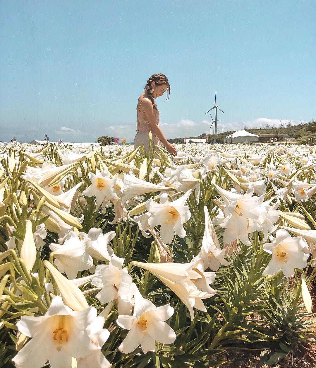 百合野外公園 リリーフィールド公園 Lily Field Park 沖繩伊江島 沖繩 伊江島 伊江島 伊江村 沖繩伊江村 沖繩 伊江村 沖繩離島 沖繩跳島 沖繩跳島遊 沖繩不自駕 伊江島景點 伊江島 景點 伊江島必去 伊江島交通 伊江島美食 伊江島必吃 伊江島必食 伊江島 自行車 伊江島 單車 伊江島 車腳踏車 伊江島 百合祭 伊江島一日遊 伊江牛 伊江島Tatchu ACE BURGER Biziru石 Nyathiya洞 伊江海灘 伊江島城山 伊江島 城山 伊江島 浮潛 伊江島 潛水 伊江島 釣魚 伊江島 騎馬 ニャティヤ洞 千人洞 力石 伊江ビーチ 湧出展望台 沖繩賞鯨 百合公園 百合祭り 沖繩 Okinawa 沖繩必食 沖繩必吃 沖繩必到 沖繩必去 沖繩必買 沖繩必掃 沖繩自由行 沖繩行程 沖繩行程包 沖繩懶人包 沖繩好去處 沖繩景點 沖繩必到景點 沖繩必去景點 沖繩美食 沖繩交通 沖繩攻略 沖繩自由行行程 沖繩自由行行程推薦 沖繩必食2019 沖繩必吃2019 沖繩必到2019 沖繩必去2019 沖繩必買2019 沖繩必掃2019 沖繩自由行2019 沖繩行程2019 沖繩行程包2019 沖繩懶人包2019 沖繩好去處2019 沖繩景點2019 沖繩必到景點2019 沖繩必去景點2019 沖繩美食2019 沖繩交通2019 沖繩攻略2019 沖繩自由行行程2019 沖繩自由行行程推薦2019