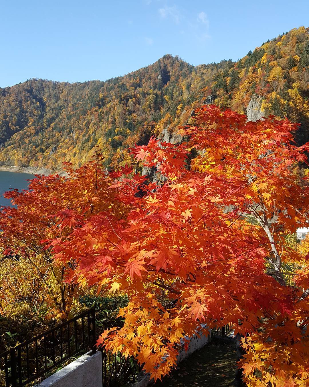 豐平峽｜日本 Japan 日本必食 日本必吃 日本必到 日本必去 日本必買 日本必掃 日本自由行 日本行程 日本行程包 日本懶人包 日本好去處 日本景點 日本必到景點 日本必去景點 日本美食 日本交通 日本攻略 日本自由行行程 日本自由行行程推薦 日本酒店 日本飯店 日本酒店推薦 日本飯店推薦 日本必住酒店 日本必住飯店 日本必食2019 日本必吃2019 日本必到2019 日本必去2019 日本必買2019 日本必掃2019 日本自由行2019 日本行程2019 日本行程包2019 日本懶人包2019 日本好去處2019 日本景點2019 日本必到景點2019 日本必去景點2019 日本美食2019 日本交通2019 日本攻略2019 日本自由行行程2019 日本自由行行程推薦2019 日本酒店2019 日本飯店2019 日本酒店推薦2019 日本飯店推薦2019 日本必住酒店2019 日本必住飯店2019 北海道 Hokkaido 北海道必食 北海道必吃 北海道必到 北海道必去 北海道必買 北海道北海道必掃 北海道自由行 北海道行程 北海道行程包 北海道懶人包 北海道好去處 北海道景點 北海道必到景點 北海道必去景點 北海道美食 北海道交通 北海道攻略 北海道自由行行程 北海道自由行行程推薦 北海道酒店 北海道飯店 北海道酒店推薦 北海道飯店推薦 北海道必住酒店 北海道必住飯店 北海道必吃2019 北海道必到2019 北海道必去2019 北海道必買2019 北海道必掃2019 北海道自由行2019 北海道行程2019 北海道行程包2019 北海道懶人包2019 北海道好去處2019 北海道景點2019 北海道必到景點2019 北海道必去景點2019 北海道美食2019 北海道交通2019 北海道攻略2019 北海道自由行行程2019 北海道自由行行程推薦2019 北海道酒店2019 北海道飯店2019 北海道酒店推薦2019 北海道飯店推薦2019 北海道必住酒店2019 北海道必住飯店2019 北海道紅葉預測 北海道楓葉預測 見晴公園 香雪園 函館 五稜郭 大沼國定公園 大沼 大湯沼 登別 豐平峽 札幌 藻岩山 札幌 北海道大學 青池 美瑛 大雪山國立公園 上川 知床五湖 知床半島 豐平峽水庫楓葉 豐平峽紅葉時間 豐平峽夏天 豐平峽洩洪 豐平峽天氣 豐平峽2018 豐平峽定山溪一日遊 豐平峽谷 定山溪豐平峽紅葉 定山溪地圖