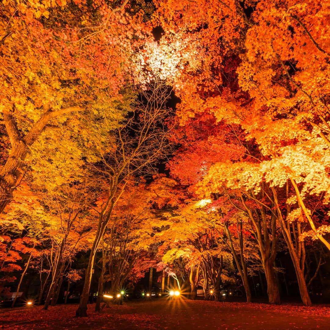 見晴公園(香雪園)｜日本 Japan 日本必食 日本必吃 日本必到 日本必去 日本必買 日本必掃 日本自由行 日本行程 日本行程包 日本懶人包 日本好去處 日本景點 日本必到景點 日本必去景點 日本美食 日本交通 日本攻略 日本自由行行程 日本自由行行程推薦 日本酒店 日本飯店 日本酒店推薦 日本飯店推薦 日本必住酒店 日本必住飯店 日本必食2019 日本必吃2019 日本必到2019 日本必去2019 日本必買2019 日本必掃2019 日本自由行2019 日本行程2019 日本行程包2019 日本懶人包2019 日本好去處2019 日本景點2019 日本必到景點2019 日本必去景點2019 日本美食2019 日本交通2019 日本攻略2019 日本自由行行程2019 日本自由行行程推薦2019 日本酒店2019 日本飯店2019 日本酒店推薦2019 日本飯店推薦2019 日本必住酒店2019 日本必住飯店2019 北海道 Hokkaido 北海道必食 北海道必吃 北海道必到 北海道必去 北海道必買 北海道北海道必掃 北海道自由行 北海道行程 北海道行程包 北海道懶人包 北海道好去處 北海道景點 北海道必到景點 北海道必去景點 北海道美食 北海道交通 北海道攻略 北海道自由行行程 北海道自由行行程推薦 北海道酒店 北海道飯店 北海道酒店推薦 北海道飯店推薦 北海道必住酒店 北海道必住飯店 北海道必吃2019 北海道必到2019 北海道必去2019 北海道必買2019 北海道必掃2019 北海道自由行2019 北海道行程2019 北海道行程包2019 北海道懶人包2019 北海道好去處2019 北海道景點2019 北海道必到景點2019 北海道必去景點2019 北海道美食2019 北海道交通2019 北海道攻略2019 北海道自由行行程2019 北海道自由行行程推薦2019 北海道酒店2019 北海道飯店2019 北海道酒店推薦2019 北海道飯店推薦2019 北海道必住酒店2019 北海道必住飯店2019 北海道紅葉預測 北海道楓葉預測 見晴公園 香雪園 函館 五稜郭 大沼國定公園 大沼 大湯沼 登別 豐平峽 札幌 藻岩山 札幌 北海道大學 青池 美瑛 大雪山國立公園 上川 知床五湖 知床半島 香雪園專車 香雪園2019 香雪園夏天 香雪園冬天 香雪園公車 函館香雪園庭園 見晴公園紅葉點燈 見晴公園櫻花 見晴公園冬天 函館楓葉時間 見晴公園櫻花 見晴公園紅葉點燈 見晴公園點燈 見晴公園夏天 見晴公園冬天 見晴公園2018 見晴公園公車 香雪園專車 大沼國定公園 函館秋葉節