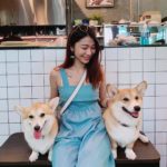 cafe Corgi in the Garden｜泰國 Thailand 泰國必食 泰國必吃 泰國必到 泰國必去 泰國必買 泰國必掃 泰國自由行 行程 泰國行程包 泰國懶人包 泰國好去處 泰國景點 泰國必到景點 泰國必去景點 泰國美食 泰國交通 泰國攻略 泰國自由行行程 泰國自由行行程推薦 泰國酒店 泰國飯店 泰國酒店推薦 泰國飯店推薦 泰國必住酒店 泰國必住飯店 泰國必食2019 泰國必吃2019 泰國必到2019 泰國必去2019 泰國必買2019 泰國必掃2019 泰國自由行2019 泰國行程2019 泰國行程包2019 泰國懶人包2019 泰國好去處2019 泰國景點2019 泰國必到景點2019 泰國必去景點2019 泰國美食2019 泰國交通2019 泰國攻略2019 泰國自由行行程2019 泰國自由行行程推薦2019 泰國酒店2019 泰國飯店2019 泰國酒店推薦2019 泰國飯店推薦2019 泰國必住酒店2019 泰國必住飯店2019 曼谷 Bangkok 曼谷必食 曼谷必吃 曼谷必到 曼谷必去 曼谷必買 曼谷必掃 曼谷自由行 行程 曼谷行程包 曼谷懶人包 曼谷好去處 曼谷景點 曼谷必到景點 曼谷必去景點 曼谷美食 曼谷交通 曼谷攻略 曼谷自由行行程 曼谷自由行行程推薦 曼谷酒店 曼谷飯店 曼谷酒店推薦 曼谷飯店推薦 曼谷必住酒店 曼谷必住飯店 曼谷必食2019 曼谷必吃2019 曼谷必到2019 曼谷必去2019 曼谷必買2019 曼谷必掃2019 曼谷自由行2019 曼谷行程2019 曼谷行程包2019 曼谷懶人包2019 曼谷好去處2019 曼谷景點2019 曼谷必到景點2019 曼谷必去景點2019 曼谷美食2019 曼谷交通2019 曼谷攻略2019 曼谷自由行行程2019 曼谷自由行行程推薦2019 曼谷酒店2019 曼谷飯店2019 曼谷酒店推薦2019 曼谷飯店推薦2019 曼谷必住酒店2019 曼谷必住飯店2019 TrueLove@Neverland Little Zoo Cafe Caturday Cat Café Rabbito Cafe cafe Corgi in the Garden 動物cafe 泰國動物cafe 曼谷動物cafe 哈士奇cafe 二哈cafe 柯基cafe