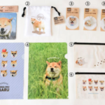 日本100円店 日本100円 キャンドゥ 柴犬まる Can☆Do 柴犬MARU 柴犬 can do cando