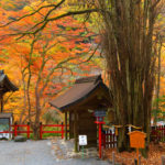 貴船口站 鳥居 本宮參道 貴船神社紅葉 紅葉 貴船神社 紅葉 京都紅葉2019 京都楓葉2019 京都紅葉景點2019 京都紅葉 景點2019 京都賞楓2019 京都賞楓 景點2019 京都賞楓景點2019 京都夜楓2019 京都夜楓景點2019 京都紅葉 京都楓葉 京都紅葉景點 京都紅葉 景點 京都賞楓 京都賞楓 景點 京都賞楓景點 京都夜楓 京都夜楓景點