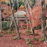 大阪行程 關西行程 嵐山行程 大阪自由行 關西自由行 嵐山自由行 嵐山站 嵯峨嵐山站 小倉山 多寶塔 常寂光寺紅葉 紅葉 常寂光寺 紅葉 嵐山紅葉 景點 嵐山紅葉景點 紅葉 嵐山 紅葉 景點 嵐山賞楓景點 嵐山賞楓 景點 嵐山夜楓 景點 嵐山夜楓景點 嵐山楓葉景點 嵐山楓葉 景點 嵐山紅葉 紅葉 嵐山 紅葉 嵐山賞楓 嵐山夜楓 嵐山楓葉 京都紅葉2019 京都楓葉2019 京都紅葉景點2019 京都紅葉 景點2019 京都賞楓2019 京都賞楓 景點2019 京都賞楓景點2019 京都夜楓2019 京都夜楓景點2019 京都紅葉 京都楓葉 京都紅葉景點 京都紅葉 景點 京都賞楓 京都賞楓 景點 京都賞楓景點 京都夜楓 京都夜楓景點