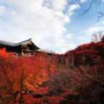 臥雲橋 通天橋 東福寺站 東福寺 紅葉 東福寺紅葉 京都紅葉2019 京都楓葉2019 京都紅葉景點2019 京都紅葉 景點2019 京都賞楓2019 京都賞楓 景點2019 京都賞楓景點2019 京都夜楓2019 京都夜楓景點2019 京都紅葉 京都楓葉 京都紅葉景點 京都紅葉 景點 京都賞楓 京都賞楓 景點 京都賞楓景點 京都夜楓 京都夜楓景點