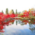 紅葉的永觀堂 蹴上站 紅葉の永観堂 永観堂の紅葉 永観堂 紅葉 永觀堂 紅葉 永觀堂紅葉 京都紅葉2019 京都楓葉2019 京都紅葉景點2019 京都紅葉 景點2019 京都賞楓2019 京都賞楓 景點2019 京都賞楓景點2019 京都夜楓2019 京都夜楓景點2019 京都紅葉 京都楓葉 京都紅葉景點 京都紅葉 景點 京都賞楓 京都賞楓 景點 京都賞楓景點 京都夜楓 京都夜楓景點