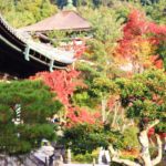 八阪神社 東山安井站 夜楓 圓山公園 高台寺紅葉 紅葉 高台寺 紅葉 京都紅葉2019 京都楓葉2019 京都紅葉景點2019 京都紅葉 景點2019 京都賞楓2019 京都賞楓 景點2019 京都賞楓景點2019 京都夜楓2019 京都夜楓景點2019 京都紅葉 京都楓葉 京都紅葉景點 京都紅葉 景點 京都賞楓 京都賞楓 景點 京都賞楓景點 京都夜楓 京都夜楓景點