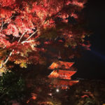 清水道站 五条坂站 清水寺紅葉 紅葉 清水寺 紅葉 京都紅葉2019 京都楓葉2019 京都紅葉景點2019 京都紅葉 景點2019 京都賞楓2019 京都賞楓 景點2019 京都賞楓景點2019 京都夜楓2019 京都夜楓景點2019 京都紅葉 京都楓葉 京都紅葉景點 京都紅葉 景點 京都賞楓 京都賞楓 景點 京都賞楓景點 京都夜楓 京都夜楓景點