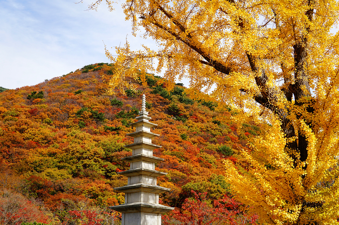 寺廟禮佛 寺廟住宿 寺廟住宿體驗 釜山十大美景 釜山賞楓第一名所 金井梵魚寺 梵魚寺 범어사 梵魚寺站 釜山 古蹟 濟州島自由行 濟州島景點 濟州島好去處 濟州島行程 濟州島自由行行程推介 濟州島自由行行程握薦 濟州島行程推介 濟州島行程握薦 濟州自由行 濟州景點 濟州好去處 濟州行程 濟州自由行行程推介 濟州自由行行程握薦 濟州行程推介 濟州行程握薦 釜山自由行 釜山景點 釜山好去處 釜山行程 釜山自由行行程推介 釜山自由行行程握薦 釜山行程推介 釜山行程握薦 首爾自由行 首爾景點 首爾好去處 首爾行程 首爾自由行行程推介 首爾自由行行程握薦 首爾行程推介 首爾行程握薦 2019 濟州島紅葉 2019 濟州島紅葉景點 2019 濟州島楓葉 2019 濟州島賞楓 濟州島賞楓景點 2019 濟州紅葉 2019 濟州紅葉景點 2019 濟州楓葉 2019 濟州賞楓 濟州賞楓景點 2019 釜山紅葉 2019 釜山紅葉景點 2019 釜山楓葉 2019 釜山賞楓 釜山賞楓景點 2019 首爾紅葉 2019 首爾紅葉景點 2019 首爾楓葉 2019 首爾賞楓 首爾賞楓景點 韓國紅葉 2019 韓國紅葉景點 韓國賞楓 韓國賞楓景點 韓國楓葉 2019韓國紅葉預測 韓國紅葉預測2019