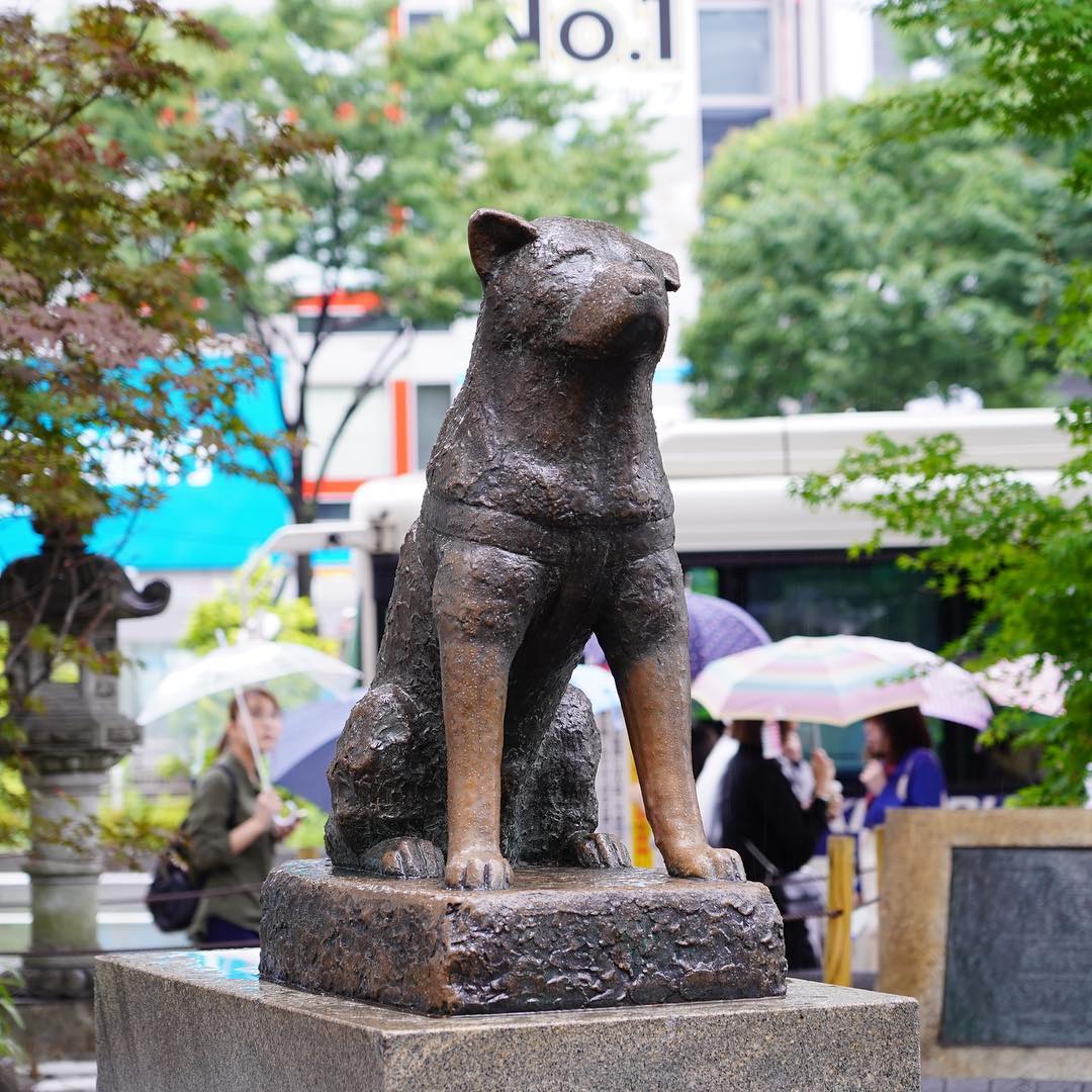 涉谷景點 涉谷必去 涉谷購物 涉谷shopping 涉谷血拼 MAGNET by SHIBUYA109 觀景台 渋谷 澀谷 澀谷站 涉谷站 SHIBUYA 109 八公口 涉谷 十字路口 涉谷十字路口 涉谷 忠犬八公 東京 懶人包 東京好去處 東京市區景點 東京地圖景點 日本東京旅遊 東京旅遊推薦 東京 好玩 東京 旅遊 東京必玩 日本東京自由行 東京推薦景點 東京景點必去 東京自由行景點 日本東京景點 東京旅遊地圖 東京 景點 必去 東京景點推薦 日本東京 東京新手景點 東京旅遊景點 東京景點地圖 東京 Tokyo 東京必食 東京必吃 東京必到 東京必去 東京必買 東京必掃 東京自由行 東京行程 東京行程包 東京懶人包 東京好去處 東京景點 東京必到景點 東京必去景點 東京美食 東京交通 東京攻略 東京自由行行程 東京自由行行程推薦 東京酒店 東京飯店 東京酒店推薦 東京飯店推薦 東京必住酒店 東京必住飯店 東京必食2019 東京必吃2019 東京必到2019 東京必去2019 東京必買2019 東京必掃2019 東京自由行2019 東京行程2019 東京行程包2019 東京懶人包2019 東京好去處2019 東京景點2019 東京必到景點2019 東京必去景點2019 東京美食2019 東京交通2019 東京攻略2019 東京自由行行程2019 東京自由行行程推薦2019 東京酒店2019 東京飯店2019 東京酒店推薦2019 東京飯店推薦2019 東京必住酒店2019 東京必住飯店2019