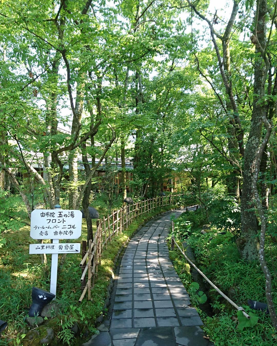 由布院玉之湯｜日本 Japan 日本必食 日本必吃 日本必到 日本必去 日本必買 日本必掃 日本自由行 日本行程 日本行程包 日本懶人包 日本好去處 日本景點 日本必到景點 日本必去景點 日本美食 日本交通 日本攻略 日本自由行行程 日本自由行行程推薦 日本酒店 日本飯店 日本酒店推薦 日本飯店推薦 日本必住酒店 日本必住飯店 日本必食2019 日本必吃2019 日本必到2019 日本必去2019 日本必買2019 日本必掃2019 日本自由行2019 日本行程2019 日本行程包2019 日本懶人包2019 日本好去處2019 日本景點2019 日本必到景點2019 日本必去景點2019 日本美食2019 日本交通2019 日本攻略2019 日本自由行行程2019 日本自由行行程推薦2019 日本酒店2019 日本飯店2019 日本酒店推薦2019 日本飯店推薦2019 日本必住酒店2019 日本必住飯店2019 九州 Kyushu 九州必食 九州必吃 九州必到 九州必去 九州必買 九州必掃 九州自由行 九州行程 九州行程包 九州懶人包 九州好去處 九州景點 九州必到景點 九州必去景點 九州美食 九州交通 九州攻略 九州自由行行程 九州自由行行程推薦 九州酒店 九州飯店 九州酒店推薦 九州飯店推薦 九州必住酒店 九州必住飯店 九州必食2019 九州必吃2019 九州必到2019 九州必去2019 九州必買2019 九州必掃2019 九州自由行2019 九州行程2019 九州行程包2019 九州懶人包2019 九州好去處2019 九州景點2019 九州必到景點2019 九州必去景點2019 九州美食2019 九州交通2019 九州攻略2019 九州自由行行程2019 九州自由行行程推薦2019 九州酒店2019 九州飯店2019 九州酒店推薦2019 九州飯店推薦2019 九州必住酒店2019 九州必住飯店2019 由布院 Yufuin 由布院必食 由布院必吃 由布院必到 由布院必去 由布院必買 由布院必掃 由布院自由行 由布院行程 由布院行程包 由布院懶人包 由布院好去處 由布院景點 由布院必到景點 由布院美食 由布院交通 由布院攻略 由布院自由行行程 由布院自由行行程推薦 由布院酒店 由布院飯店 由布院酒店推薦 由布院飯店推薦 由布院必住酒店 由布院必住飯店 由布院一泊二食 由布院溫泉旅館 由布院一泊二食推薦 由布院溫泉旅館推薦 由布院必食2019 由布院必吃2019 由布院必到2019 由布院必去2019 由布院必買2019 由布院必掃2019 由布院自由行2019 由布院行程2019 由布院行程包2019 由布院懶人包2019 由布院好去處2019 由布院景點2019 由布院必到景點2019 由布院必去景點2019 由布院美食2019 由布院交通2019 由布院攻略2019 由布院自由行行程2019 由布院自由行行程推薦2019 由布院酒店2019 由布院飯店2019 由布院酒店推薦2019 由布院飯店推薦2019 由布院必住酒店2019 由布院必住飯店2019 由布院一泊二食2019 由布院溫泉旅館2019 由布院一泊二食推薦2019 由布院溫泉旅館推薦2019 湯布院 湯布院必食 湯布院必吃 湯布院必到 湯布院必去 湯布院必買 湯布院必掃 湯布院自由行 湯布院行程 湯布院行程包 湯布院懶人包 湯布院好去處 湯布院景點 湯布院必到景點 湯布院美食 湯布院交通 湯布院攻略 湯布院自由行行程 湯布院自由行行程推薦 湯布院酒店 湯布院飯店 湯布院酒店推薦 湯布院飯店推薦 湯布院必住酒店 湯布院必住飯店 湯布院一泊二食 湯布院溫泉旅館 湯布院一泊二食推薦 湯布院溫泉旅館推薦 湯布院必食2019 湯布院必吃2019 湯布院必到2019 湯布院必去2019 湯布院必買2019 湯布院必掃2019 湯布院自由行2019 湯布院行程2019 湯布院行程包2019 湯布院懶人包2019 湯布院好去處2019 湯布院景點2019 湯布院必到景點2019 湯布院必去景點2019 湯布院美食2019 湯布院交通2019 湯布院攻略2019 湯布院自由行行程2019 湯布院自由行行程推薦2019 湯布院酒店2019 湯布院飯店2019 湯布院酒店推薦2019 湯布院飯店推薦2019 湯布院必住酒店2019 湯布院必住飯店2019 湯布院一泊二食2019 湯布院溫泉旅館2019 湯布院一泊二食推薦2019 湯布院溫泉旅館推薦2019 由布院玉之湯 由布院玉の湯 龜之井別莊 亀の井別荘 山莊無量塔 山荘無量塔 御三家 由布院御三家 湯布院御三家 Tea Room Nicol ティールーム ニコル 天井棧敷 Bar山貓 不生庵 theomurata B-speak 由布院之森 由布之森 由布院玉之湯訂房 由布院玉の湯 玉之湯晚餐 龜之井別莊 山莊無量塔 由布院玉之湯登別 由布院別邸樹 玉之湯松本 湯布院御三家龜之井別莊 由布院私人風呂2018