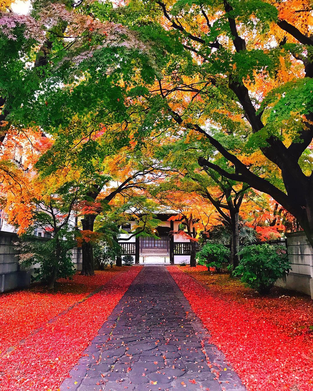 輪王寺｜日本 Japan 日本必食 日本必吃 日本必到 日本必去 日本必買 日本必掃 日本自由行 日本行程 日本行程包 日本懶人包 日本好去處 日本景點 日本必到景點 日本必去景點 日本美食 日本交通 日本攻略 日本自由行行程 日本自由行行程推薦 日本酒店 日本飯店 日本酒店推薦 日本飯店推薦 日本必住酒店 日本必住飯店 日本必食2019 日本必吃2019 日本必到2019 日本必去2019 日本必買2019 日本必掃2019 日本自由行2019 日本行程2019 日本行程包2019 日本懶人包2019 日本好去處2019 日本景點2019 日本必到景點2019 日本必去景點2019 日本美食2019 日本交通2019 日本攻略2019 日本自由行行程2019 日本自由行行程推薦2019 日本酒店2019 日本飯店2019 日本酒店推薦2019 日本飯店推薦2019 日本必住酒店2019 日本必住飯店2019 東京 Tokyo 東京必食 東京必吃 東京必到 東京必去 東京必買 東京必掃 東京自由行 東京行程 東京行程包 東京懶人包 東京好去處 東京景點 東京必到景點 東京必去景點 東京美食 東京交通 東京攻略 東京自由行行程 東京自由行行程推薦 東京酒店 東京飯店 東京酒店推薦 東京飯店推薦 東京必住酒店 東京必住飯店 東京必食2019 東京必吃2019 東京必到2019 東京必去2019 東京必買2019 東京必掃2019 東京自由行2019 東京行程2019 東京行程包2019 東京懶人包2019 東京好去處2019 東京景點2019 東京必到景點2019 東京必去景點2019 東京美食2019 東京交通2019 東京攻略2019 東京自由行行程2019 東京自由行行程推薦2019 東京酒店2019 東京飯店2019 東京酒店推薦2019 東京飯店推薦2019 東京必住酒店2019 東京必住飯店2019 銀杏2019 日本銀杏 日本銀杏2019 東京銀杏 東京銀杏2019 楓葉2019 紅葉2019 日本楓葉2019 日本楓葉 日本紅葉 日本紅葉2019 東京楓葉2019 東京楓葉 東京紅葉 東京紅葉2019 河口湖紅葉迴廊 河口湖 河口湖楓葉 河口湖紅葉 高尾山 高尾山楓葉 高尾山紅葉 高尾山纜車 高尾山藥王院 高尾山美食 日光紅葉 日光紅葉坂 日光 紅葉坂 龍頭瀑布 龍頭瀑布紅葉 日光楓葉 紅葉坂楓葉 龍頭瀑布楓葉 湯之湖 湯之湖紅葉 湯之湖楓葉 中禪寺湖 中禪寺湖楓葉 中禪寺湖紅葉 輪王寺 輪王寺紅葉 輪王寺楓葉 龍王峽 龍王峽紅葉 龍王峽楓葉 輪王寺大猷院 日光輪王寺改修 輪王寺三佛堂 輪王寺整修2019 日光輪王寺破魔矢 輪王寺2018 二荒山神社 日光東照宮整修2019 輪王寺2019 輪王寺維修