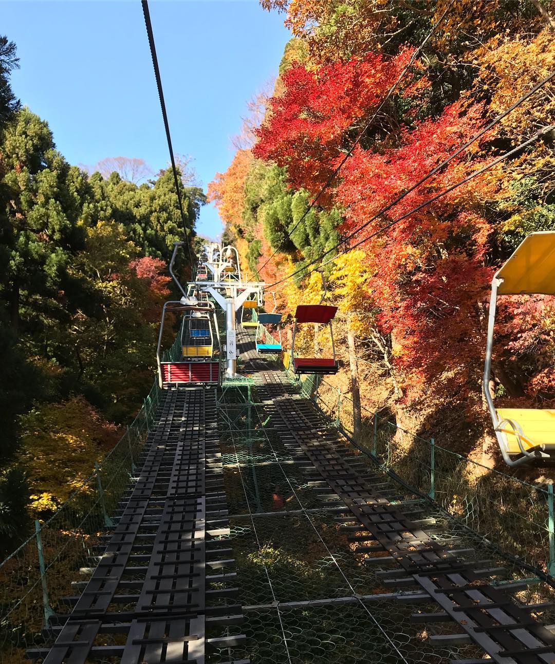 高尾山｜日本 Japan 日本必食 日本必吃 日本必到 日本必去 日本必買 日本必掃 日本自由行 日本行程 日本行程包 日本懶人包 日本好去處 日本景點 日本必到景點 日本必去景點 日本美食 日本交通 日本攻略 日本自由行行程 日本自由行行程推薦 日本酒店 日本飯店 日本酒店推薦 日本飯店推薦 日本必住酒店 日本必住飯店 日本必食2019 日本必吃2019 日本必到2019 日本必去2019 日本必買2019 日本必掃2019 日本自由行2019 日本行程2019 日本行程包2019 日本懶人包2019 日本好去處2019 日本景點2019 日本必到景點2019 日本必去景點2019 日本美食2019 日本交通2019 日本攻略2019 日本自由行行程2019 日本自由行行程推薦2019 日本酒店2019 日本飯店2019 日本酒店推薦2019 日本飯店推薦2019 日本必住酒店2019 日本必住飯店2019 東京 Tokyo 東京必食 東京必吃 東京必到 東京必去 東京必買 東京必掃 東京自由行 東京行程 東京行程包 東京懶人包 東京好去處 東京景點 東京必到景點 東京必去景點 東京美食 東京交通 東京攻略 東京自由行行程 東京自由行行程推薦 東京酒店 東京飯店 東京酒店推薦 東京飯店推薦 東京必住酒店 東京必住飯店 東京必食2019 東京必吃2019 東京必到2019 東京必去2019 東京必買2019 東京必掃2019 東京自由行2019 東京行程2019 東京行程包2019 東京懶人包2019 東京好去處2019 東京景點2019 東京必到景點2019 東京必去景點2019 東京美食2019 東京交通2019 東京攻略2019 東京自由行行程2019 東京自由行行程推薦2019 東京酒店2019 東京飯店2019 東京酒店推薦2019 東京飯店推薦2019 東京必住酒店2019 東京必住飯店2019 銀杏2019 日本銀杏 日本銀杏2019 東京銀杏 東京銀杏2019 楓葉2019 紅葉2019 日本楓葉2019 日本楓葉 日本紅葉 日本紅葉2019 東京楓葉2019 東京楓葉 東京紅葉 東京紅葉2019 河口湖紅葉迴廊 河口湖 河口湖楓葉 河口湖紅葉 高尾山 高尾山楓葉 高尾山紅葉 高尾山纜車 高尾山藥王院 高尾山美食 日光紅葉 日光紅葉坂 日光 紅葉坂 龍頭瀑布 龍頭瀑布紅葉 日光楓葉 紅葉坂楓葉 龍頭瀑布楓葉 湯之湖 湯之湖紅葉 湯之湖楓葉 中禪寺湖 中禪寺湖楓葉 中禪寺湖紅葉 輪王寺 輪王寺紅葉 輪王寺楓葉 龍王峽 龍王峽紅葉 龍王峽楓葉 高尾山夏天 高尾山美食 高尾山官網 高尾山溫泉 高尾山冬天 高尾山紅葉 高尾山富士山 高尾山2018 高尾山9月 高尾山英文