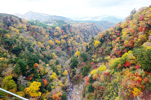 九重夢大橋秋天變紅色極景｜大分景點 大分必玩 大分必食 大分必玩 九州必玩 九州景點  鐵道迷 九州觀光列車  九州觀光鐵道  JR九州 九州JR Pass JR南九州Pass JR北九州Pass