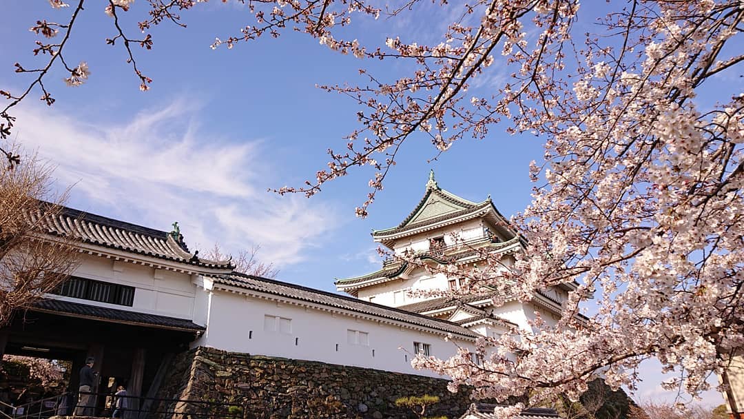 和歌山賞櫻景點 和歌山 櫻花 景點 和歌山城 和歌山 溫泉 推介 和歌山 溫泉 推薦 日本 和歌山 日本和歌山 和歌山 遊記 和歌山旅遊 和歌山縣 和歌山市 和歌山市景點 和歌山景點 和歌山必去 和歌山必到 和歌山好去處 和歌山一日遊 和歌山半日遊 和歌山自由行 和歌山行程 和歌山交通 和歌山站 和歌山自駕遊