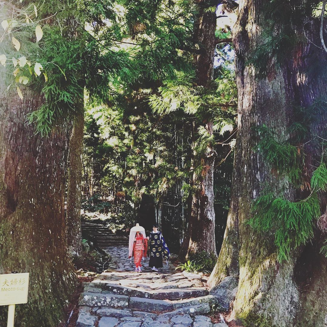 熊野古道 三社一寺 熊野本宮大社 熊野那智大社 熊野速玉大社 青岸渡寺 和歌山 溫泉 推介 和歌山 溫泉 推薦 日本 和歌山 日本和歌山 和歌山 遊記 和歌山旅遊 和歌山縣 和歌山市 和歌山市景點 和歌山景點 和歌山必去 和歌山必到 和歌山好去處 和歌山一日遊 和歌山半日遊 和歌山自由行 和歌山行程 和歌山交通 和歌山站 和歌山自駕遊