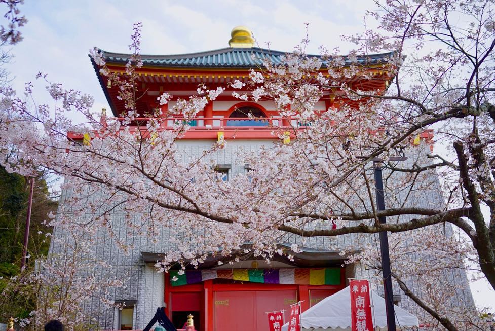 Hello Kitty御守 祈願杓子 日本櫻花名所 木造觀音像 仏殿大觀音 和歌山櫻花景點 和歌山櫻花 和歌山 櫻花 景點 和歌山賞櫻 和歌山賞櫻景點 和歌山 賞櫻 景點 紀三井寺櫻花 紀三井寺 櫻花 和歌山 溫泉 推介 和歌山 溫泉 推薦 日本 和歌山 日本和歌山 和歌山 遊記 和歌山旅遊 和歌山縣 和歌山市 和歌山市景點 和歌山景點 和歌山必去 和歌山必到 和歌山好去處 和歌山一日遊 和歌山半日遊 和歌山自由行 和歌山行程 和歌山交通 和歌山站 和歌山自駕遊