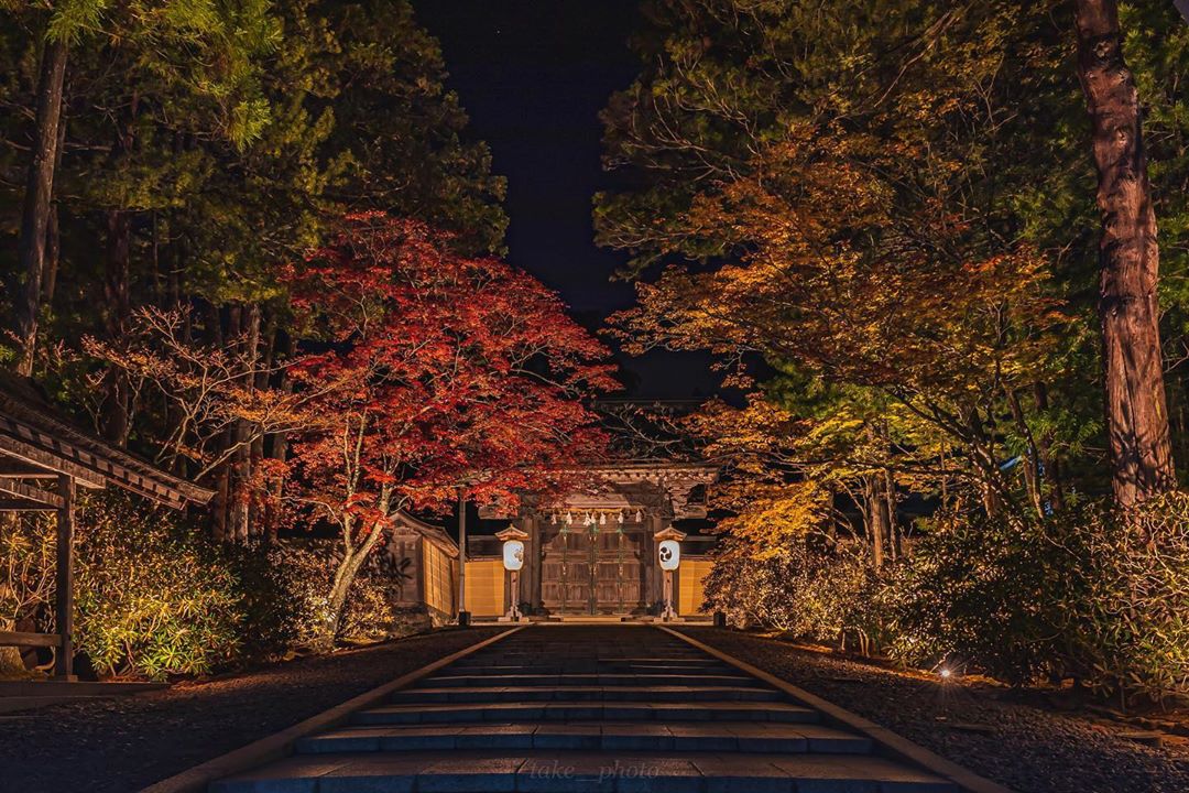 和歌山 紅葉 景點 和歌山紅葉 和歌山夜楓 和歌山 夜楓 和歌山賞楓 和歌山賞楓景點 高野山 和歌山 溫泉 推介 和歌山 溫泉 推薦 日本 和歌山 日本和歌山 和歌山 遊記 和歌山旅遊 和歌山縣 和歌山市 和歌山市景點 和歌山景點 和歌山必去 和歌山必到 和歌山好去處 和歌山一日遊 和歌山半日遊 和歌山自由行 和歌山行程 和歌山交通 和歌山站 和歌山自駕遊