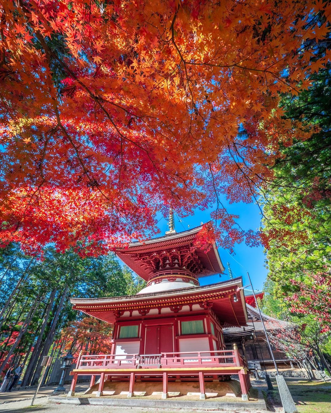 和歌山 紅葉 景點 和歌山紅葉 和歌山夜楓 和歌山 夜楓 和歌山賞楓 和歌山賞楓景點 高野山 和歌山 溫泉 推介 和歌山 溫泉 推薦 日本 和歌山 日本和歌山 和歌山 遊記 和歌山旅遊 和歌山縣 和歌山市 和歌山市景點 和歌山景點 和歌山必去 和歌山必到 和歌山好去處 和歌山一日遊 和歌山半日遊 和歌山自由行 和歌山行程 和歌山交通 和歌山站 和歌山自駕遊